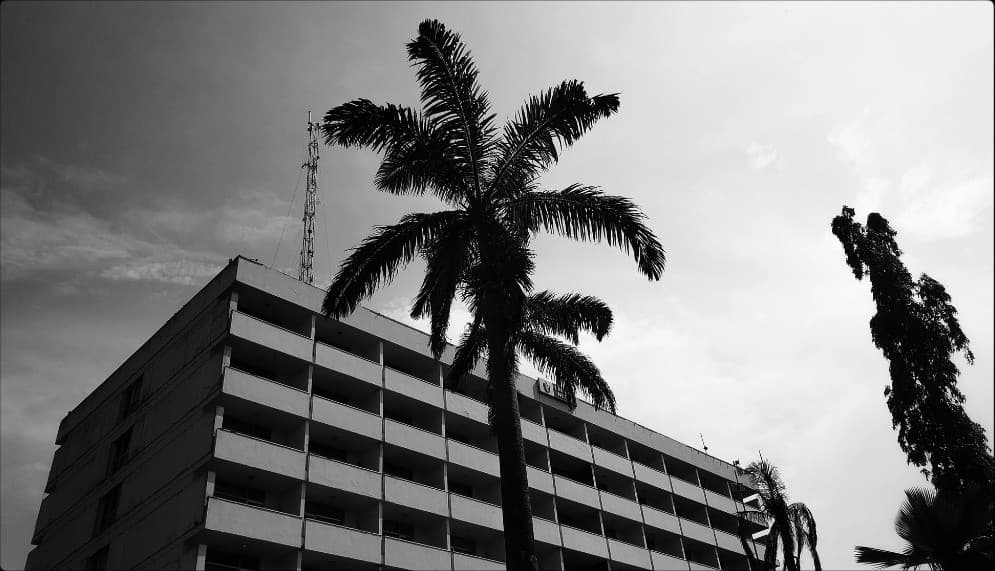 A palm tree in front of a modernist building, in black and white.
